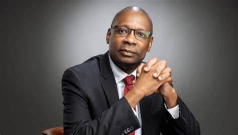 Fidelity Bank chairman, Chike-Obi advocates for continental unity, economic integration