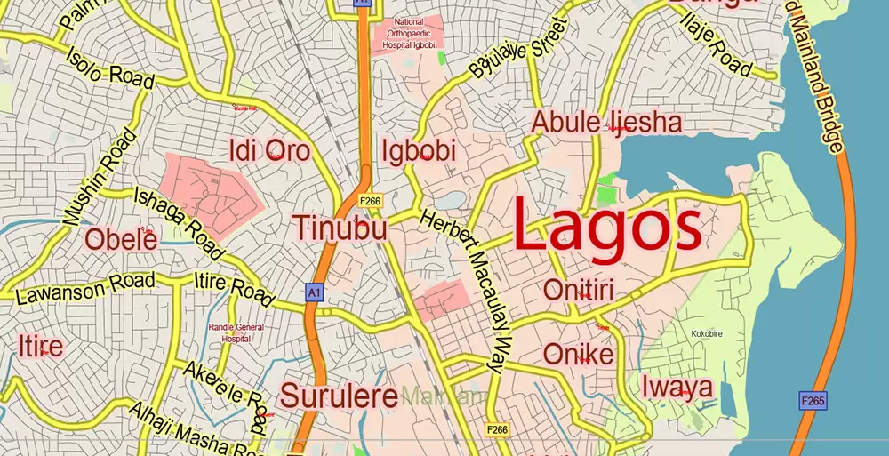 Lagos police arrests fleeing doctor for performing BBL on lady who later died