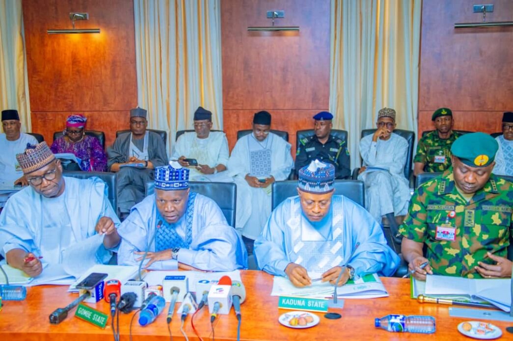 Economic hardship more severe in our region than south – Northern governors